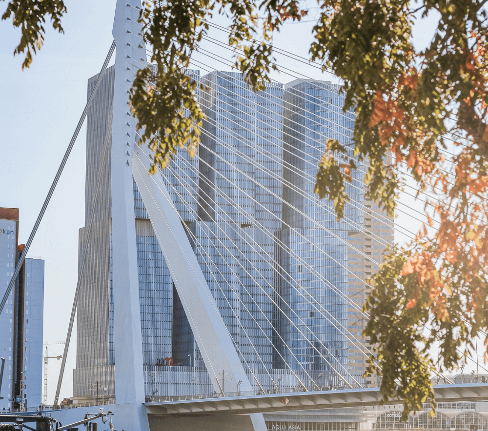 The Carbon Border Adjustment Mechanism (CBAM) | Environmental Content Marketing House