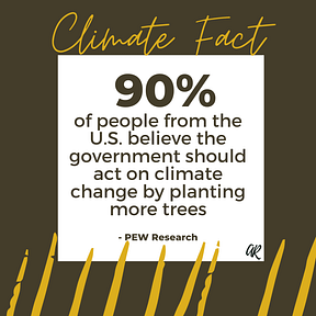 90% of people from the U.S. believe the government should act on climate change by planting more trees | A.R. Marketing House