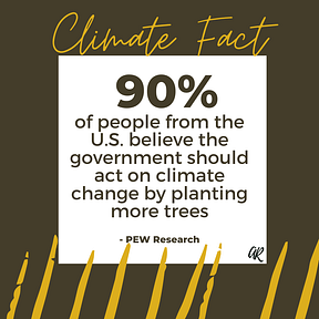 90% of people from the U.S. believe the government should act on climate change by planting more trees | A.R. Marketing House