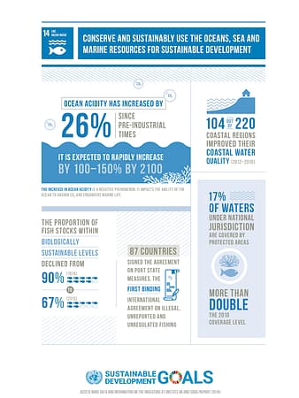 U.N. conserving ocean sea and marine health | A.R. Marketing House