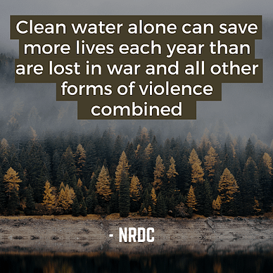 What environmental content marketing feels like | A.R. Environmental Content Marketing House