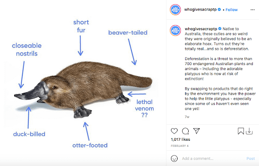 What environmental content marketing looks like | A.R. Environmental Content Marketing House