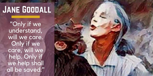 10 Highly Influential Thought Leaders and their Educational Content | Jane Goodall