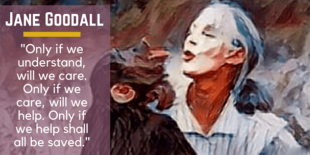 10 Highly Influential Thought Leaders and their Educational Content | Jane Goodall