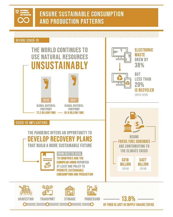 The-Sustainable-Development-Goals-Report-2020_Page_19