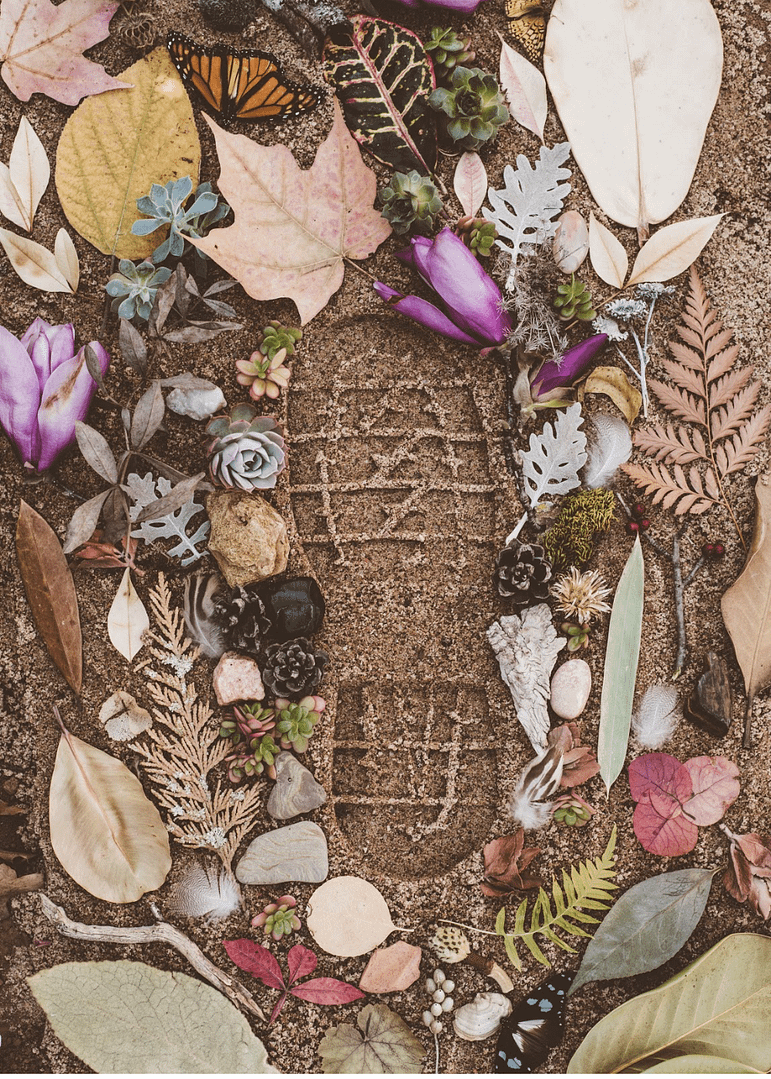 How to Increase Your Brand’s Measurable Environmental Impact with Education-Based Marketing