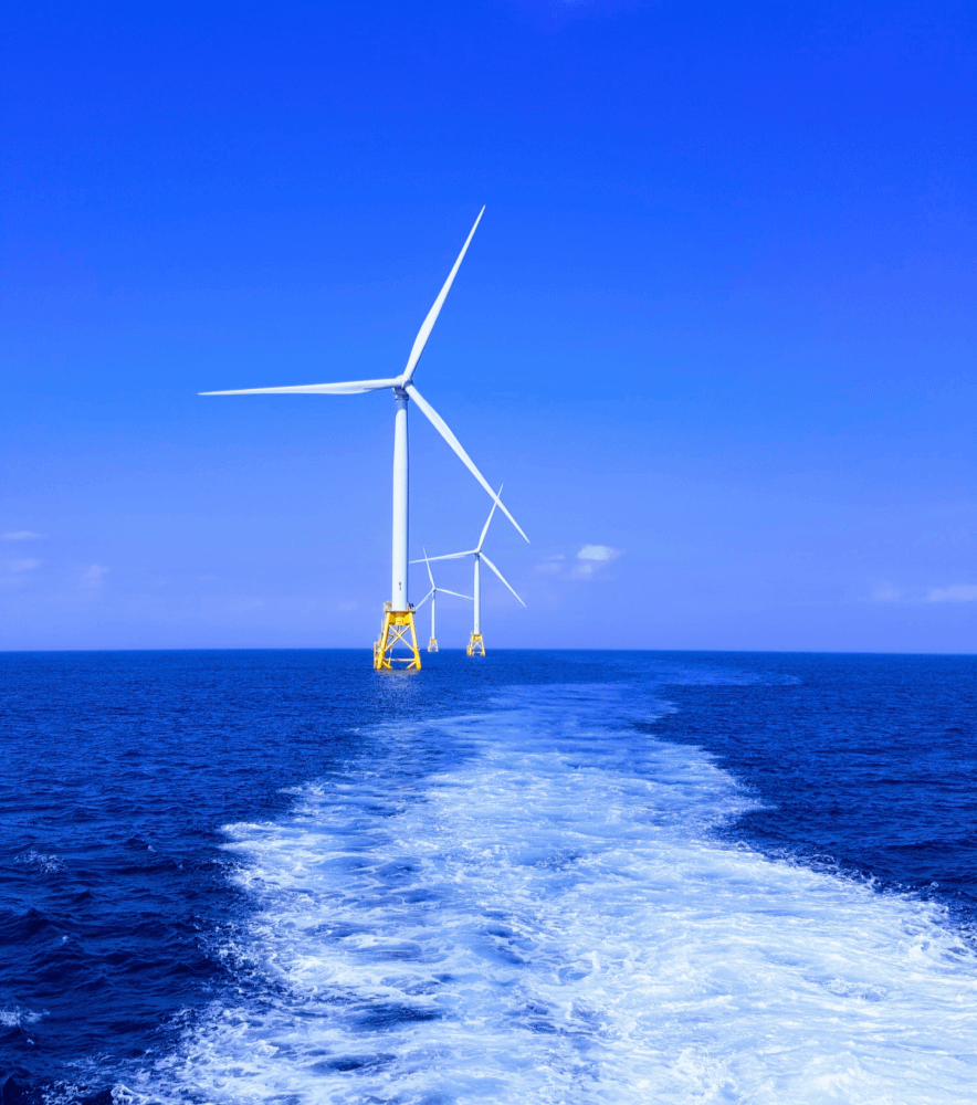 Bridging the Knowledge Gap A.R. Marketing House's Mission to Drive Sustainability Through Environmental Content