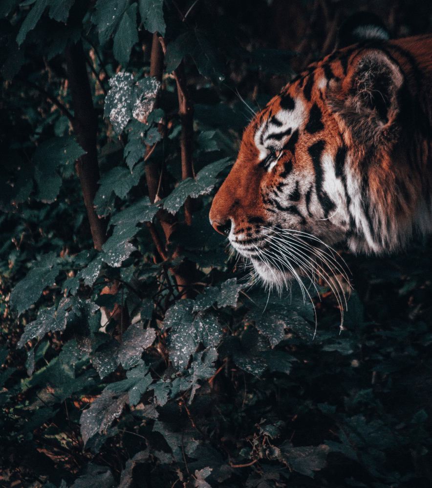 Environmental Awareness: List of Days| ARmarketinghouse